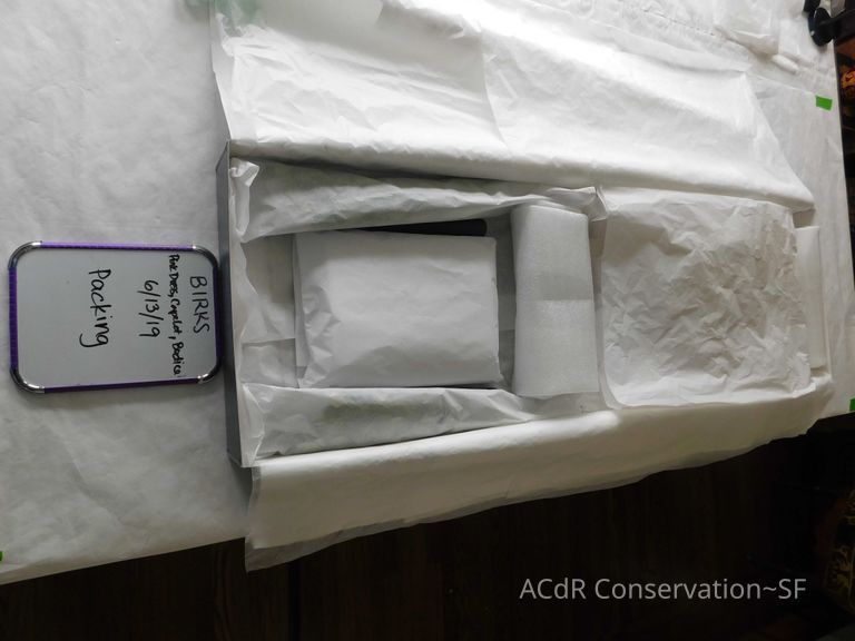 Leaf Capelet - Image 100