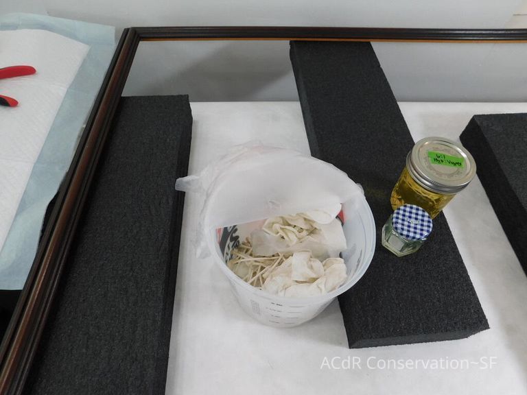 #7 - Grass and Thistles - Image 27