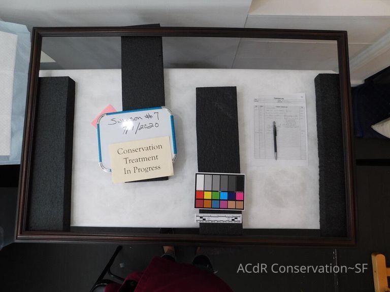 #7 - Grass and Thistles - Image 29