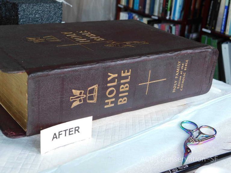 Family Bible picture number 1