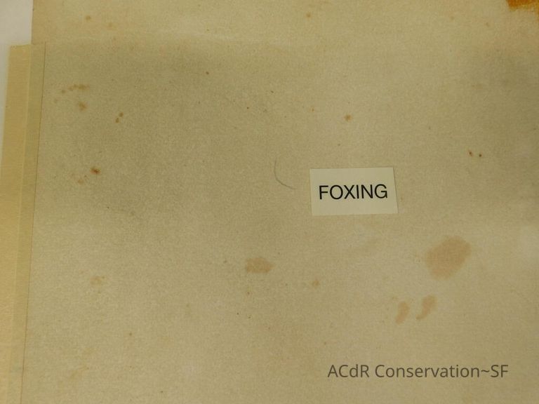 Untitled (Large Landscape Painting) - Image 18