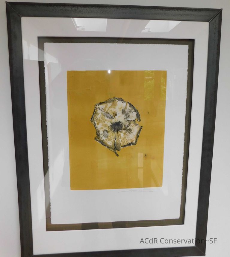          Dandelion Yellow picture number 1
