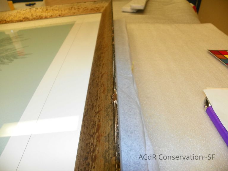 Tree illustration - Image 2