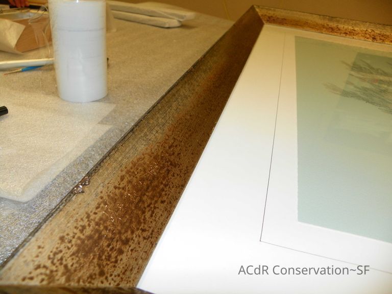 Tree illustration - Image 5