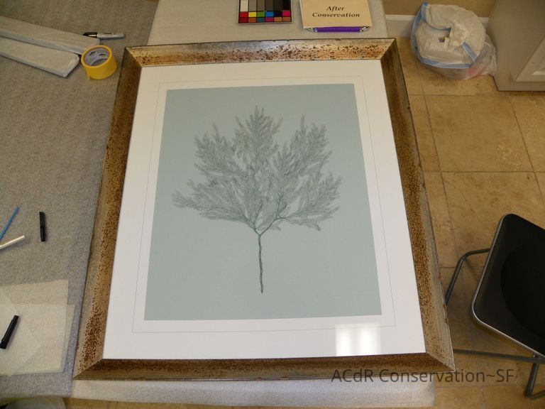 Tree illustration - Image 6