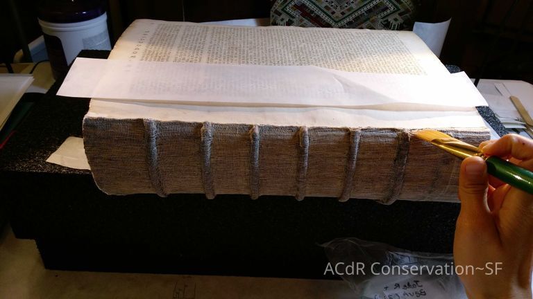 Bible - Image 12