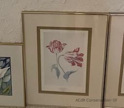          Red tulips picture number 1
