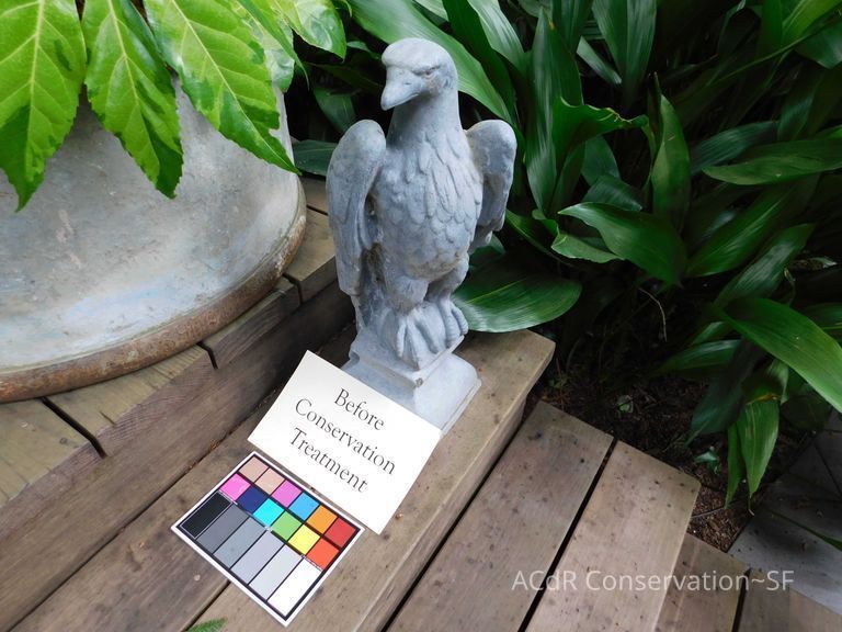          Lead Eagle (facing right) picture number 1
