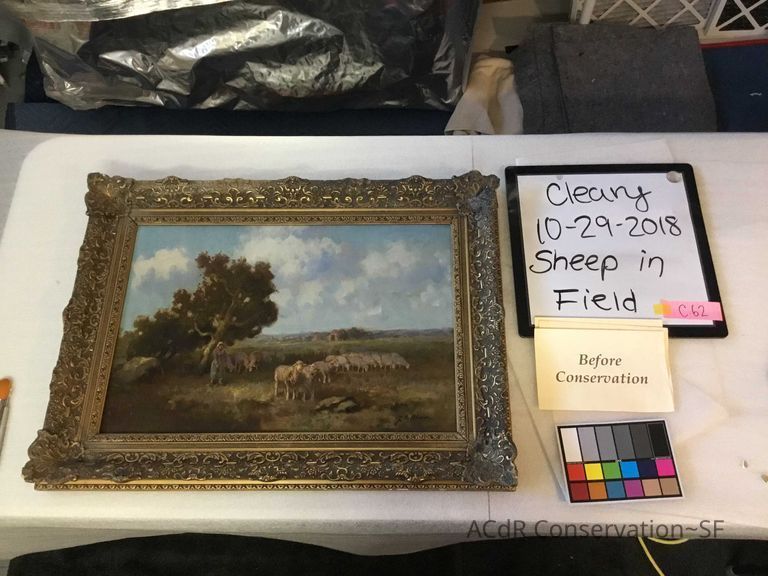          Sheep in field picture number 1
