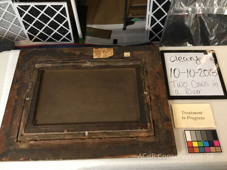 Two cows in a river  - Image 2