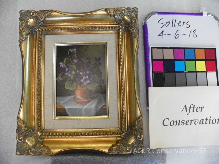          Violets picture number 1
