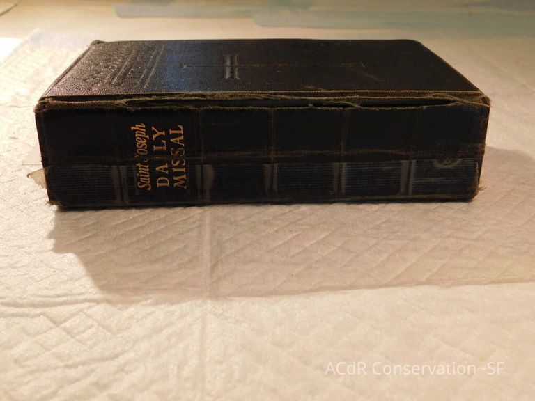 Daily Missal - Image 9