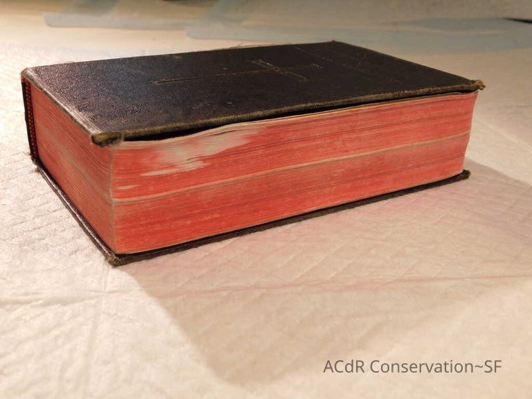 Daily Missal - Image 10