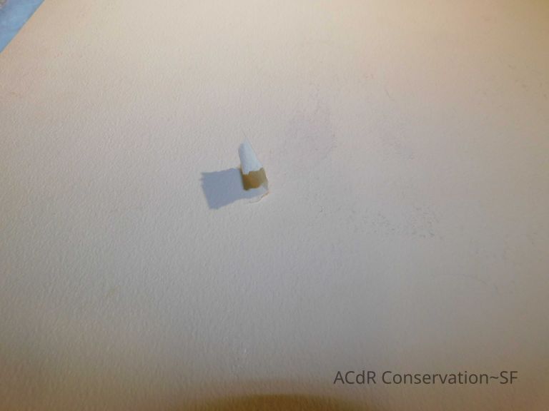 Women posing behind car door - Image 4