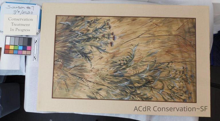 #7 - Grass and Thistles - Image 30