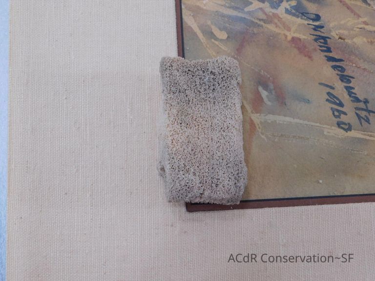 #7 - Grass and Thistles - Image 33