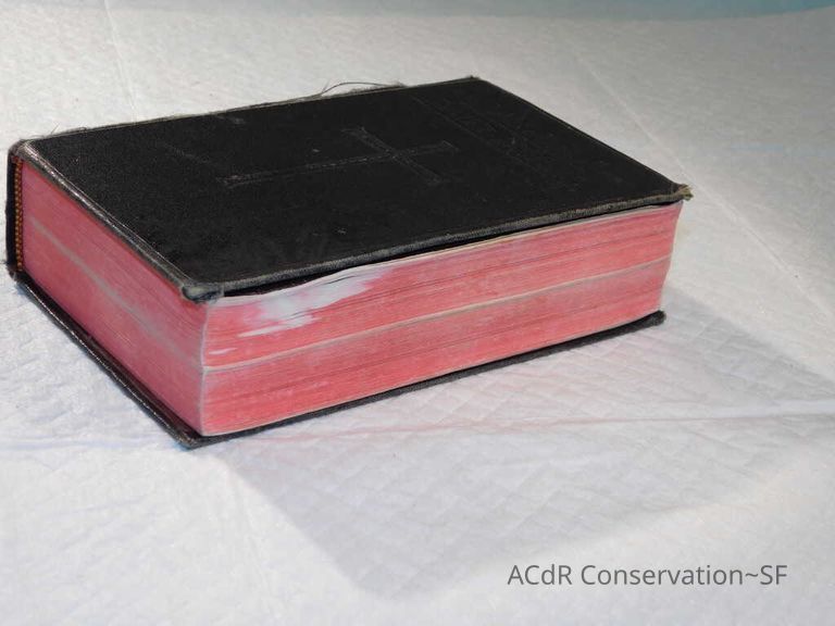 Daily Missal - Image 14