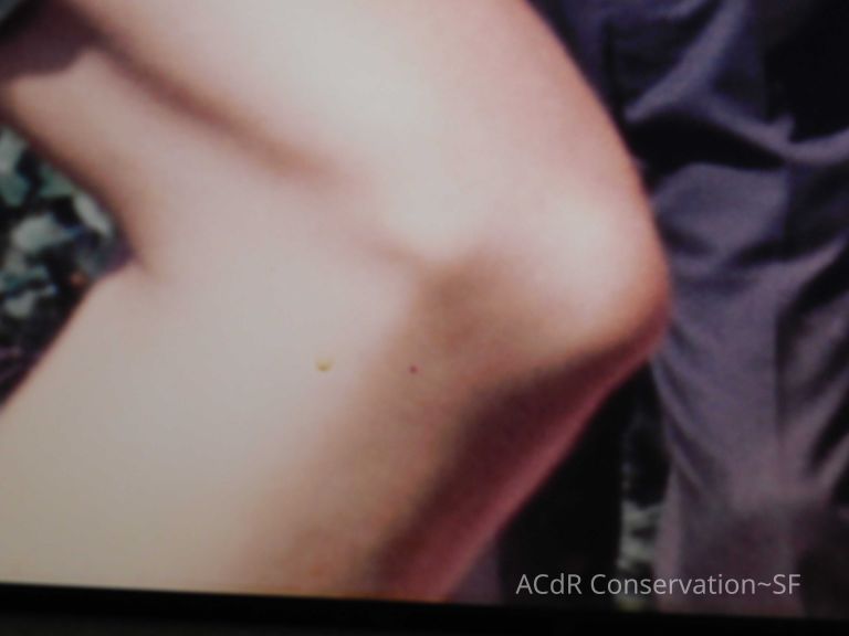 Portrait with elbow - Image 2