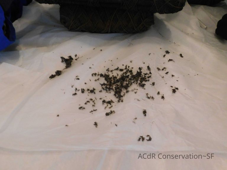 Textile and Tribal Arts Show Rehousing Project - Image 267