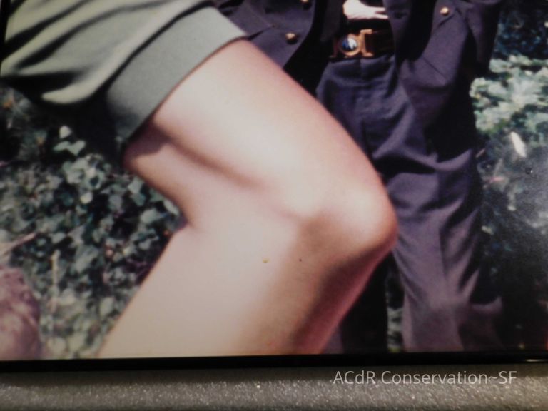 Portrait with elbow - Image 3