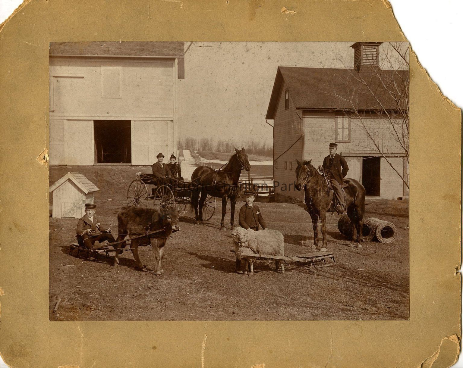 4 - Faces of Barry County