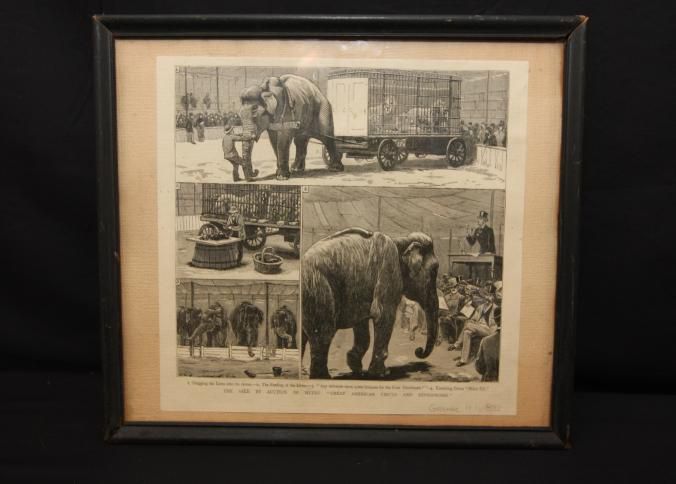 Robert Doyle Gallery