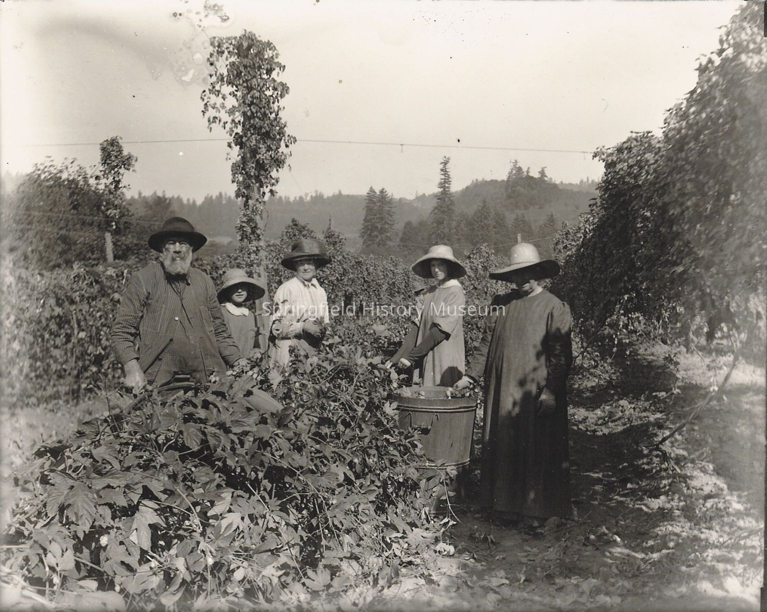 Historic Farm Labor Photographs