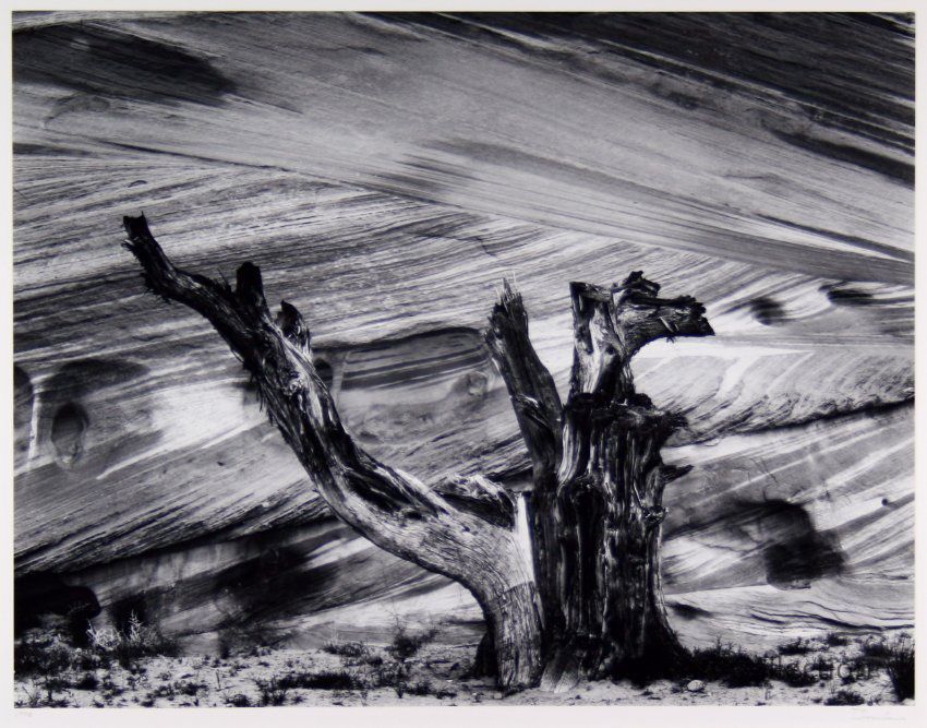 The black and white photograph vividly captures a stark desert landscape, characterized by rolling sand dunes that stretch towards the horizon where a dramatic cluster of puffy clouds forms a striking contrast against a dark, almost ominous sky, while sporadically placed trees punctuate the barren terrain, adding depth and character to the otherwise desolate scene; the intricate play of light and shadow across the dunes and the textures of the clouds create a visually compelling and serene yet somewhat eerie atmosphere.