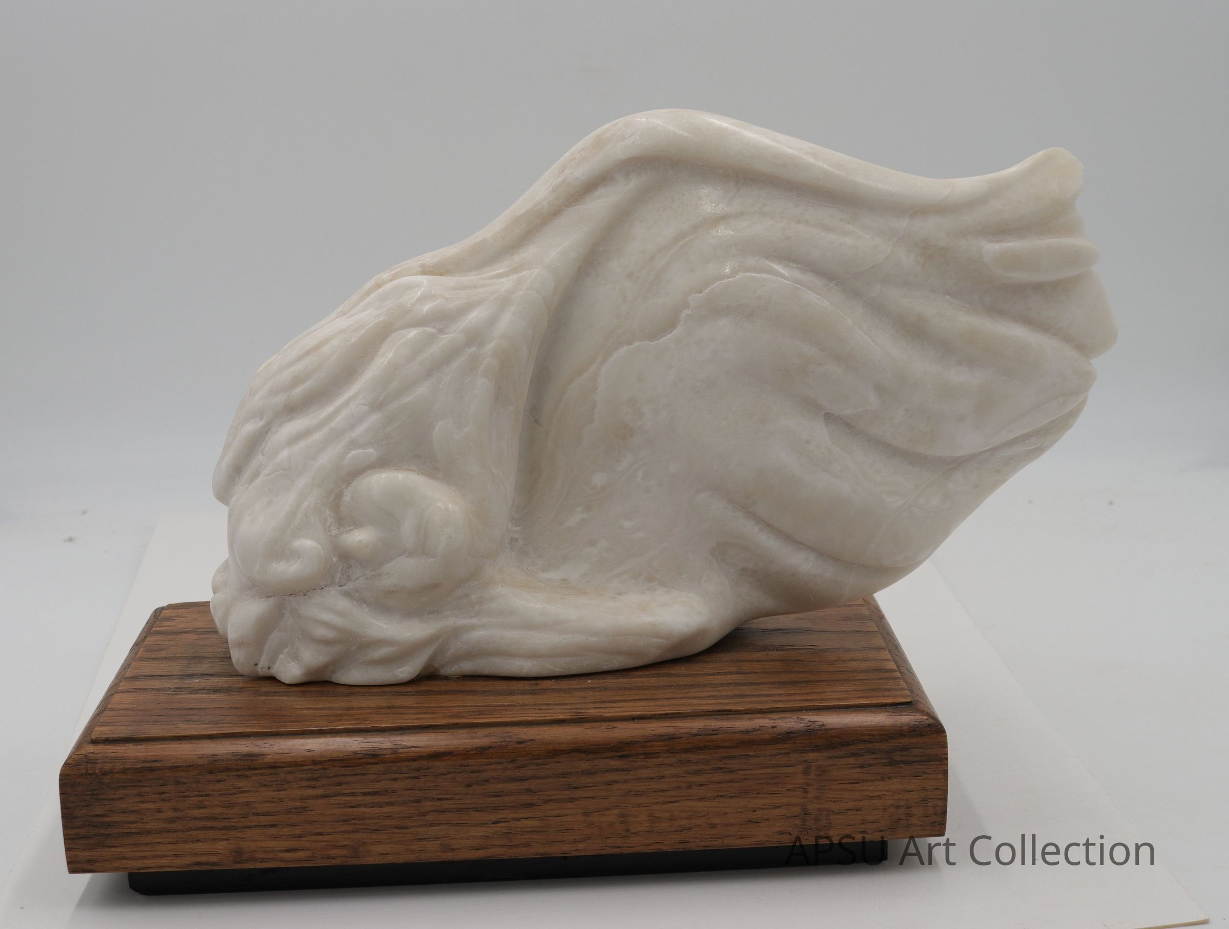 The image depicts a white marble sculpture with fluid, wave-like shapes that suggest movement and elegance, showcasing smooth curves and a glossy finish; it sits on a wooden base and appears to be displayed within a glass case, likely in a museum or gallery setting, where reflections can be seen on the glass surface.