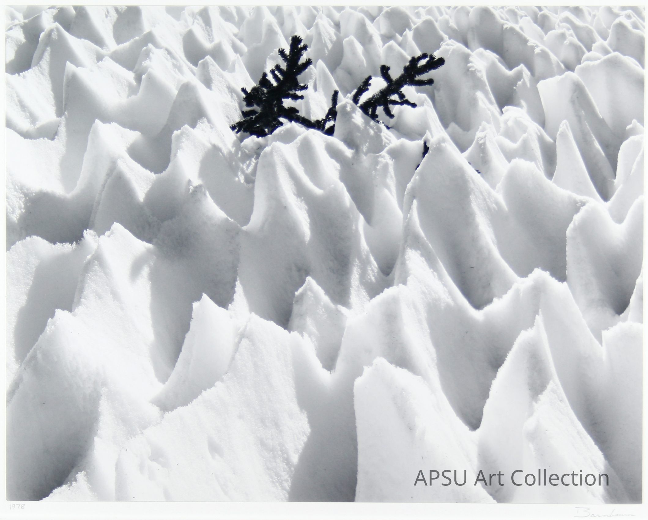 The image portrays a striking landscape of sharp, jagged snow formations that resemble a field of icy peaks, with a single dark evergreen branch protruding from the center, creating a dramatic contrast against the bright, pristine white snow; the texture and shapes of the snow display a mesmerizing natural phenomenon sculpted by the elements, evoking the beauty and harshness of cold environments, while the lone branch adds a touch of solitude and resilience amidst the frozen expanse.