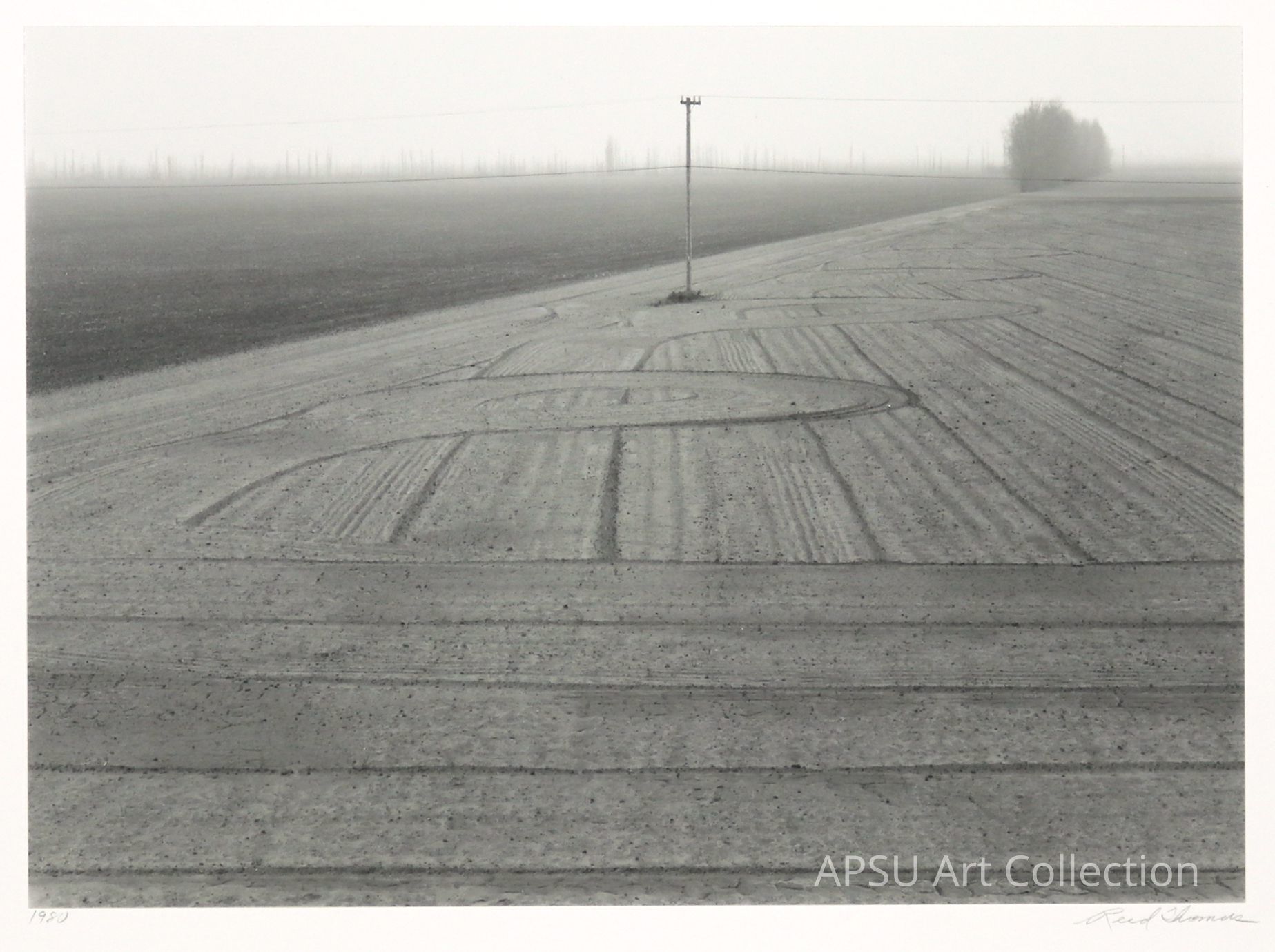 This image portrays a vast, muted landscape with a plowed field, prominently showing curved furrows that lead towards a distant, foggy horizon. A single telephone pole stands to the left, and faint silhouettes of trees and multiple poles are barely visible through the mist, evoking a sense of solitude and the expansive nature of the rural setting. The subdued lighting and overcast sky emphasize the quiet and still atmosphere.