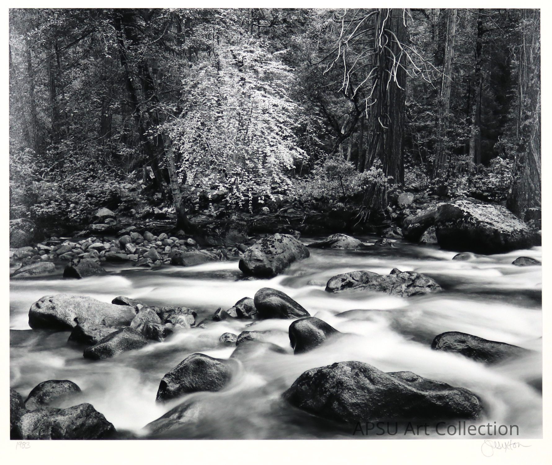 This black and white photograph captures a serene forest scene where a smoothly flowing river meanders around scattered rocks. Lush trees, some with bare branches, line the riverbank, and their dense canopy suggests a secluded woodland retreat. The soft-focus effect applied to the water gives it a misty, magical appearance, enhancing the tranquil and timeless feel of the landscape. The clarity and contrast of the image accentuate the textures of the rocks and foliage, making the scene appear ethereal and inviting.