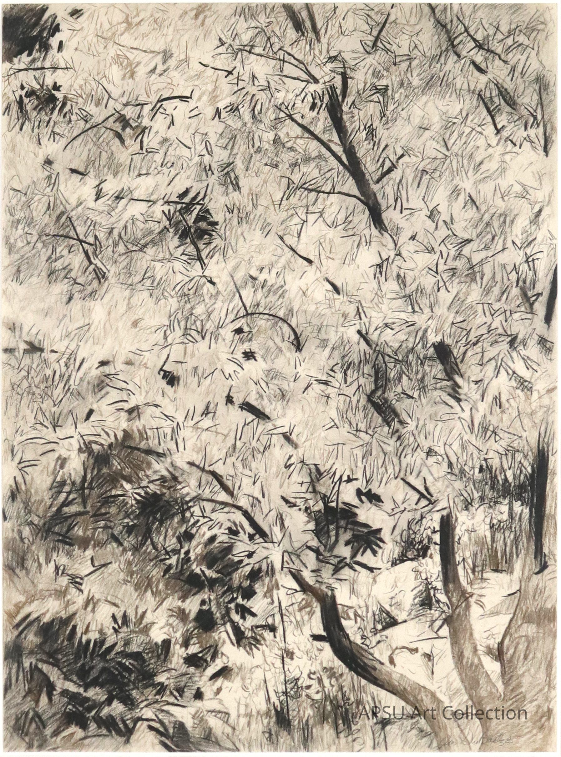 The image portrays an abstract representation of a forest scene, with a dense arrangement of light and dark strokes mimicking the texture of tree branches and leaves; the interwoven forms suggest an intricate pattern of foliage, capturing the essence of a natural landscape in an impressionistic style through the subtle interplay of shades and lines, invoking a sense of depth and complexity, where the viewer’s eye is drawn to the variations in tone, texture, and the overall dynamic movement of the composition.