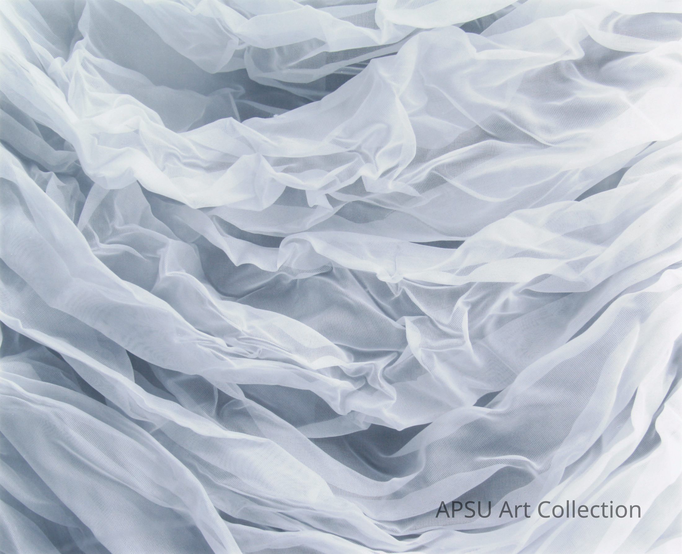 The image features a gentle array of soft, translucent, white fabric folds that undulate gracefully, creating a delicate pattern of waves and ripples that evoke a serene, ethereal quality akin to a calm sea or gentle clouds. The sheer texture of the fabric adds a touch of elegance and sophistication, making it visually appealing and soothing to observe.