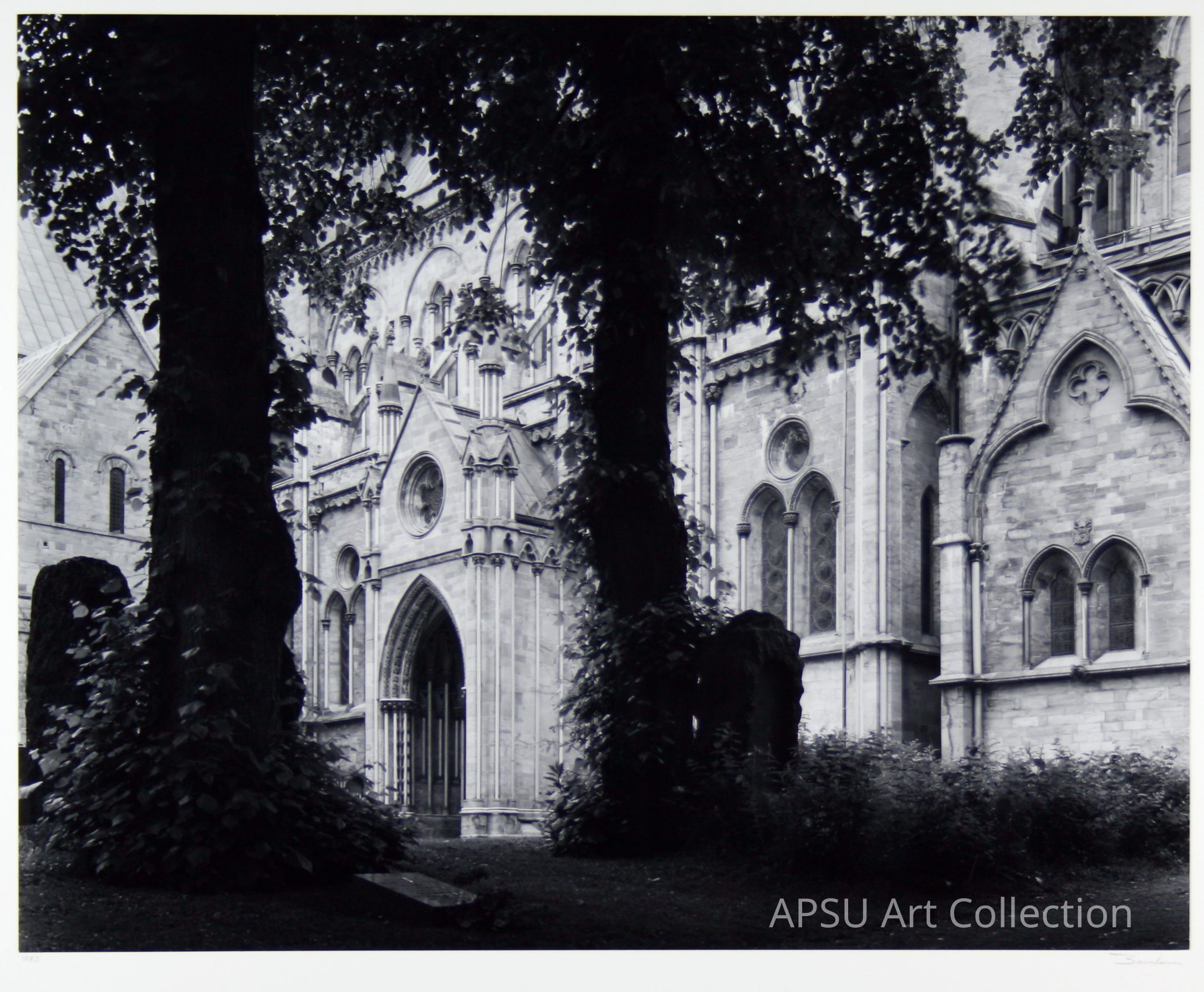 The image depicts a black and white photograph of an impressive Gothic-style cathedral, with its intricately detailed stone architecture visible through the thick trees in the foreground, casting dark shadows on the surrounding lush shrubbery and well-maintained grounds, exuding an aura of historical grandeur and serene majesty amidst the natural scenery; the front façade features arched doorways and a large circular window above, suggesting a venerable and timeless religious edifice.