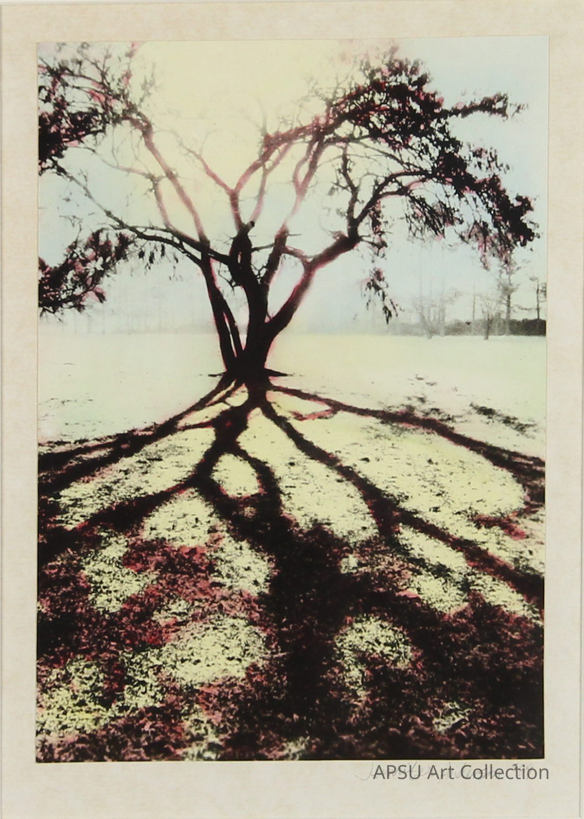 The image portrays a solitary tree with an intricate network of branches, standing starkly against a pale, seemingly winter-bound landscape; its dark silhouette is marked by the radiant hues of sunset or sunrise, casting sprawling, dramatic shadows across the snow-dusted ground, creating a striking contrast with the atmospheric, misted background. The image, signed by Jennifer Anderson in 1997, captures a serene yet haunting natural vista through a lens that beautifully merges color and shadow, emphasizing nature's quiet grandeur.