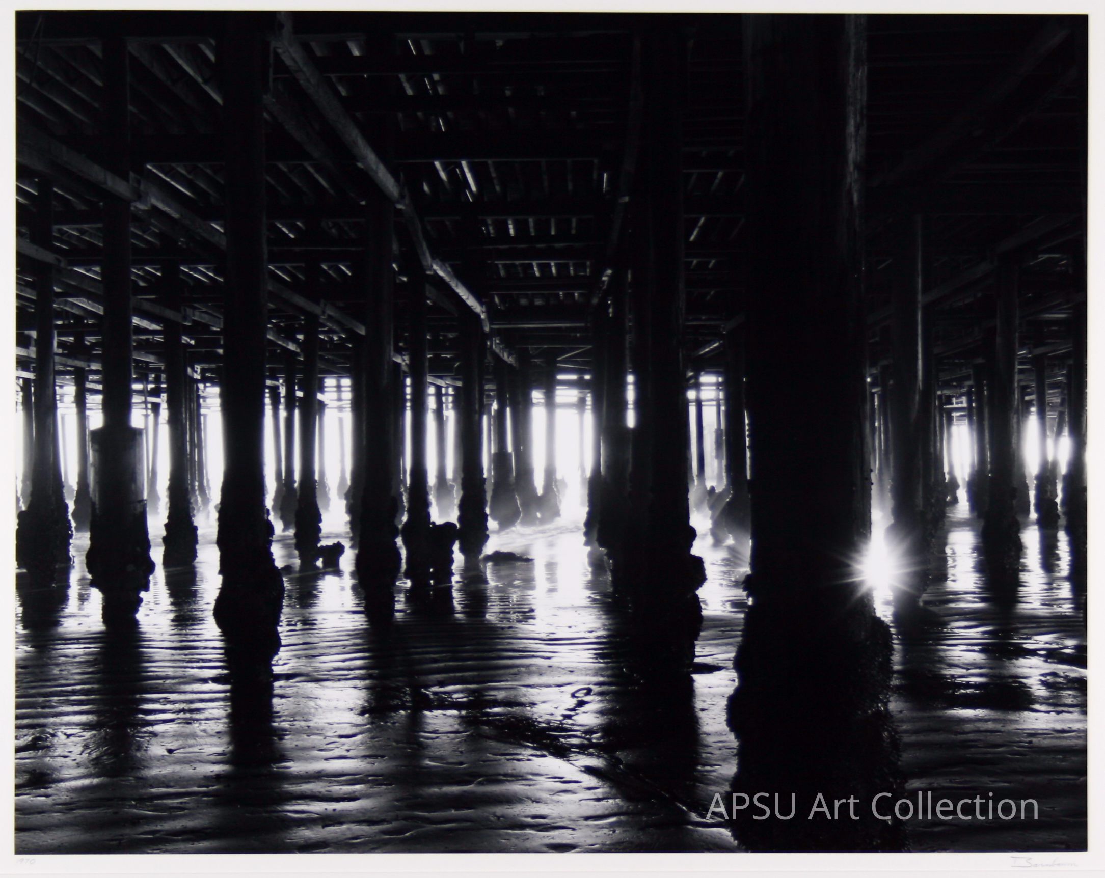 The black and white photograph captures the striking view beneath a pier, where numerous vertical wooden beams create a rhythmic pattern in deep contrast against the shimmering, reflective wet sand. Sunlight pierces through the gaps between the beams, producing dramatic shafts of light and accentuating the textures of the water and the shadows above. The perspective offers a sense of depth and mystery, inviting the viewer to follow the light into the distance.