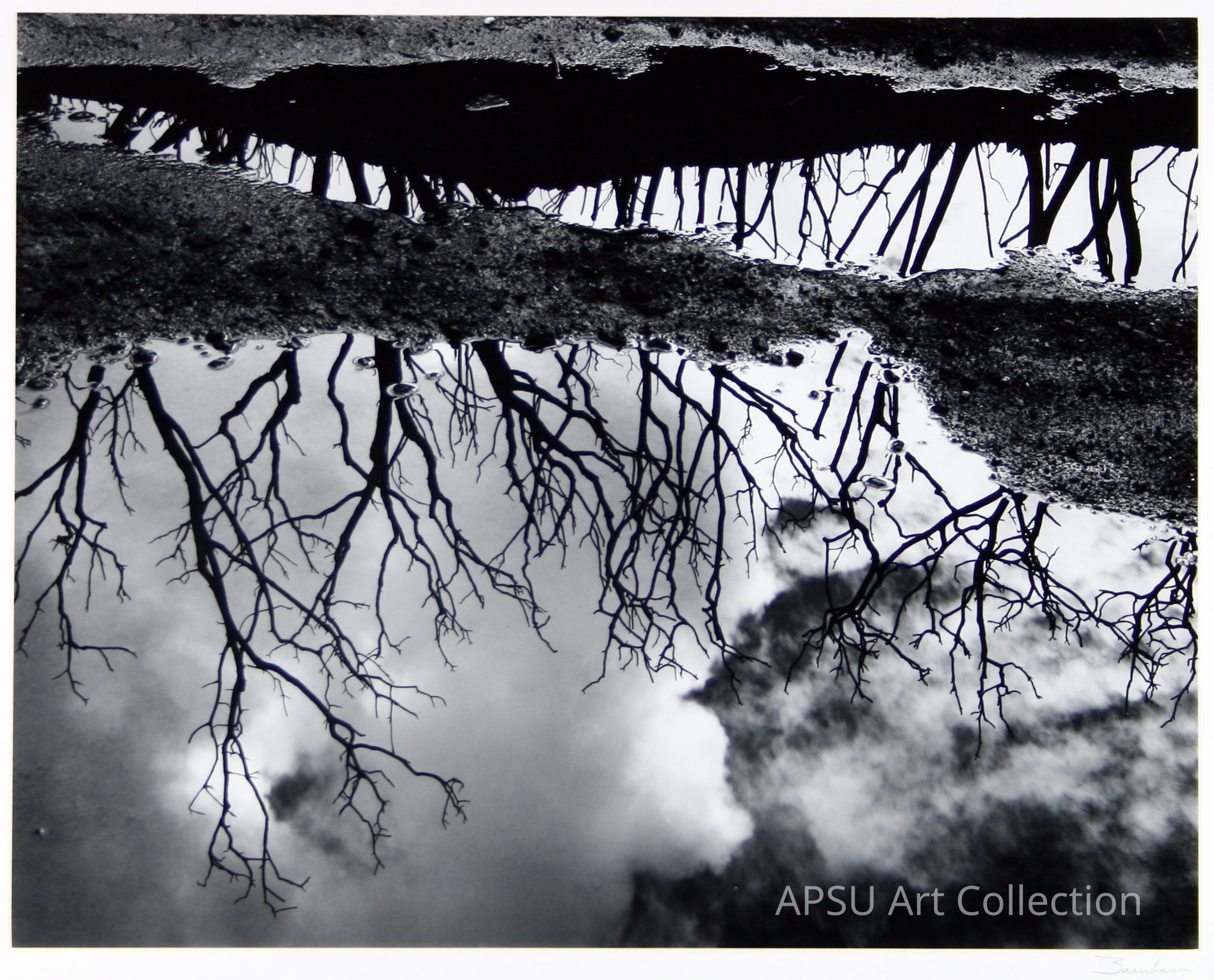 This evocative black-and-white photograph captures the reflection of barren tree branches in a puddle of water, blending the stark contrast of dark branches against a lighter sky, accentuated by the puddle's irregular shape and the textured surface of the surrounding ground, creating an intriguing mirror effect that evokes a sense of solitude and contemplation.