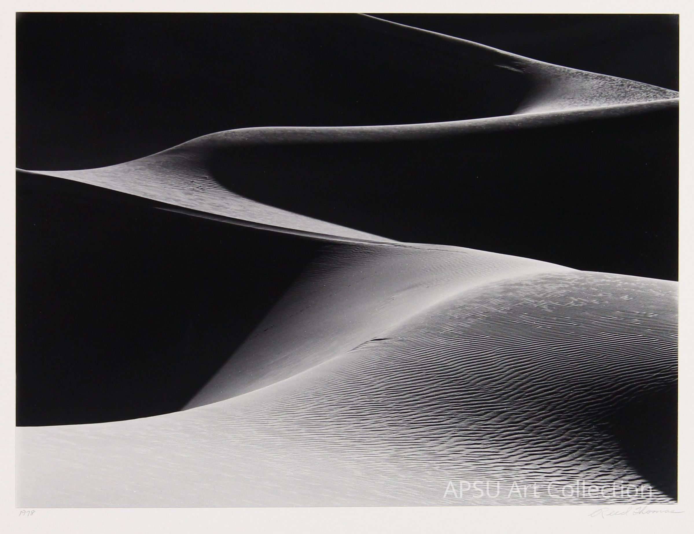 This is a striking black and white photograph captures the intriguing and ethereal shapes of sand dunes. The image showcases smooth curving lines of dunes contrasted against the textured patterns of sand ripples, expertly utilizing light and shadow to emphasize the serene yet dynamic nature of the desert landscape.