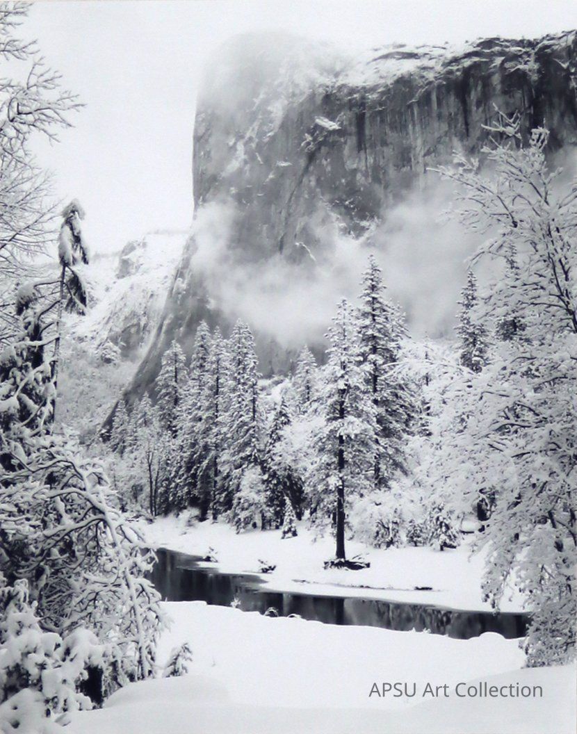 Jim and Nan Robertson Collection