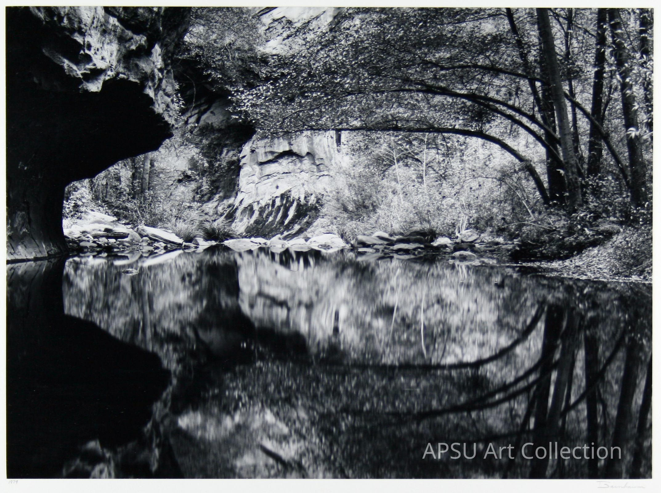 The black-and-white photograph captures a tranquil scene of a forested riverside with trees arching gracefully over a calm body of water, which mirrors the natural surroundings; the composition includes a rocky overhang on the left, while the foliage reflects in the water, fostering a sense of serenity and balance amidst the wilderness.