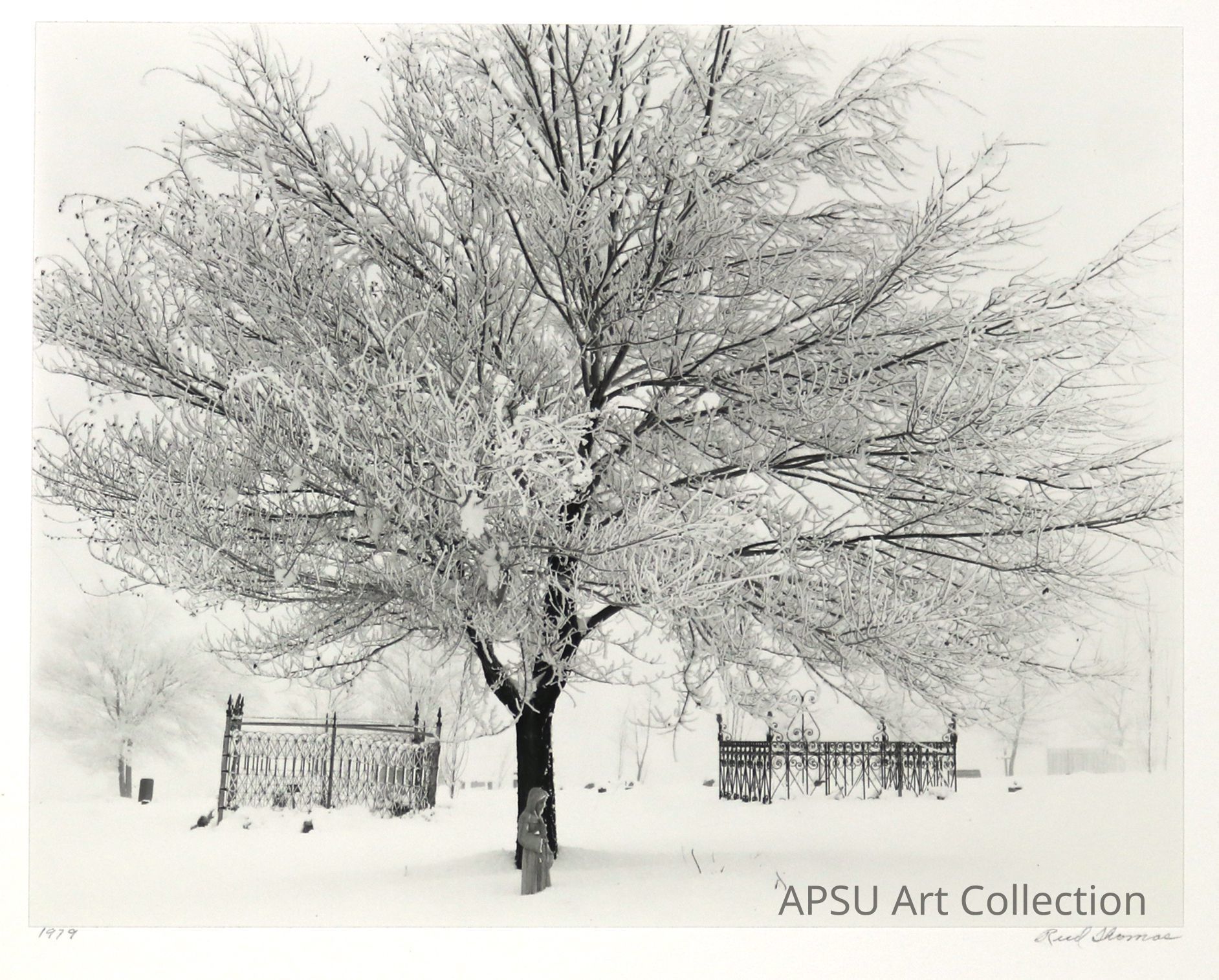 The image presents a serene winter scene captured in black and white, featuring a robust tree dusted with snow at its center. Surrounding the tree, a quaint, vintage fence partially encloses a snow-blanketed area, enhancing the quiet isolation of the landscape. Subtle details in the snowy ground and the intricate, frost-laden branches of the tree emphasize the cold yet peaceful atmosphere, creating a timeless elegance within this tranquil wintery setting.