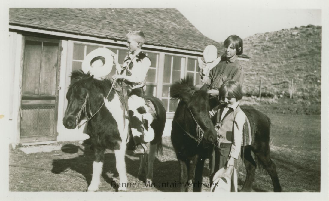 Brooks Genealogy Book
