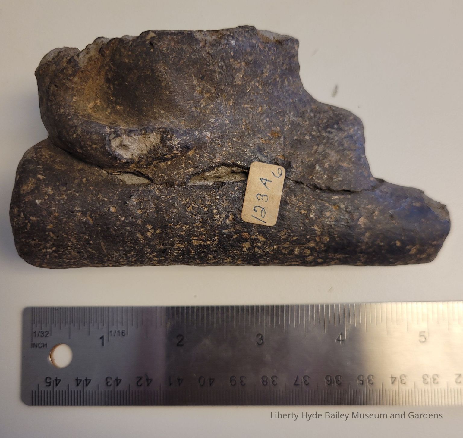 Native American Cultural Materials: Chipped/Ground Stone Tools & Implements