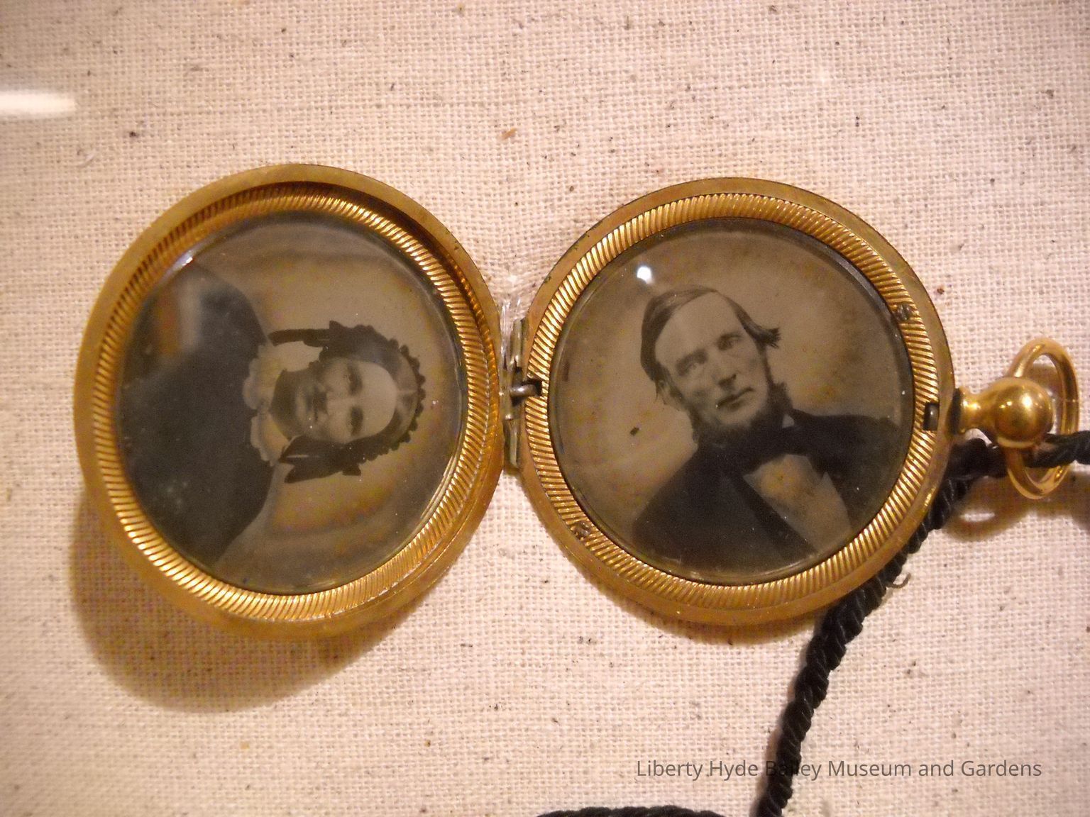 South Haven Home Artifacts
