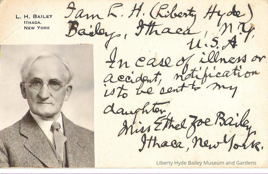 Objects- L.H. Bailey