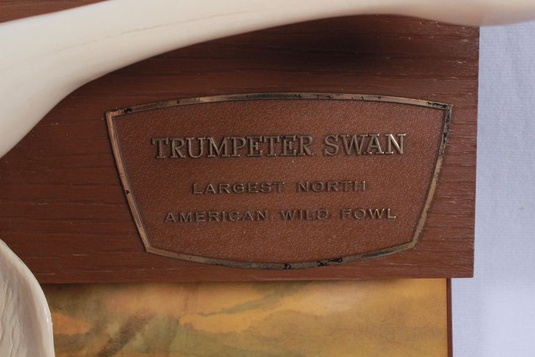 Wiedemann Brewing Company - Image 3