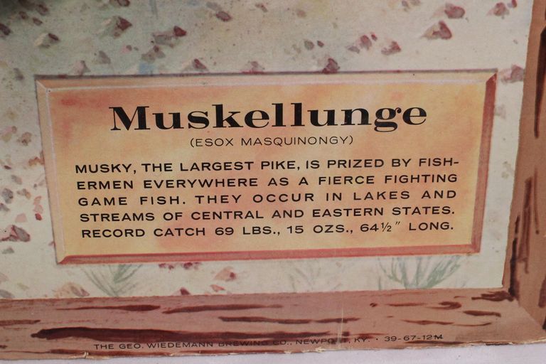 Wiedemann Brewing Company - Image 2