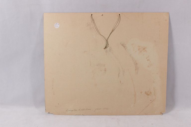 Buffalo Brewing Company - Image 3