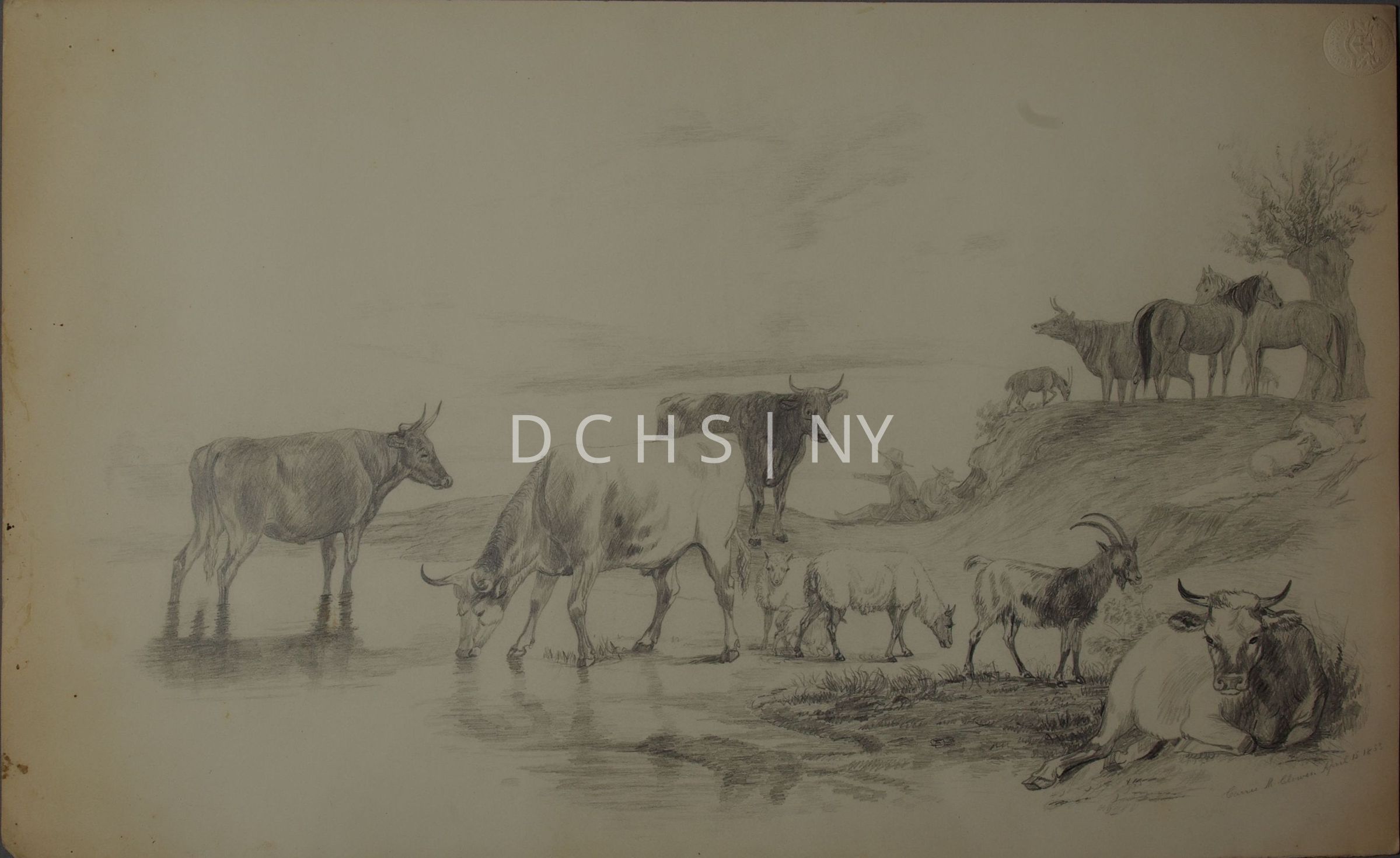 Untitled (Untitled Sketch): View of a body of water with a variety of animals and people. In the foreground, on the left, there is the body of water, and on the right there is the grassy bank with a cow that reclines in the lower right corner, facing the viewer. Behind this cow is a goat that stands in profile facing the right. In the middle ground, the water continues back on the left side, with two more cows standing within it. The cow on the left stands in profile facing the right, while the one to its right stands facing the left, with its head down to drink from the water. To the right of this cow are two sheep, with the leftmost one facing toward the viewer, and the right one facing the right to graze. In the background there are indications of the banks, as well as more water. In the middle is another cow which stands facing the right, and two human figures that sit on the bank underneath an overhang. They both wear hats, and the one on the left points out toward the left. On the right above these figures is a slight elevation that slopes down toward the center of the composition. On the top of this elevation are more animals, including a small goat, a cow that appears to bellow with its mouth open, facing the left, and two horses. The rightmost edge is made up of a tree and three sheep that recline on the lower part of the elevation. The sky is indicated by light shading marks. In the lower right corner the drawing is signed "Carrie M. Clowes, April 15 1853, Poughkeepsie (?)"